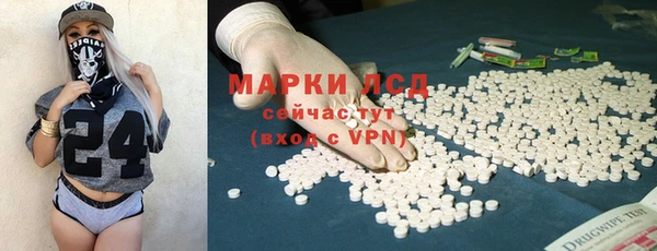 ECSTASY Липки