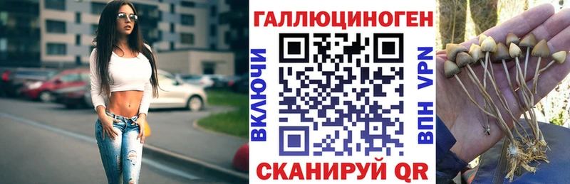 Галлюциногенные грибы GOLDEN TEACHER Электросталь